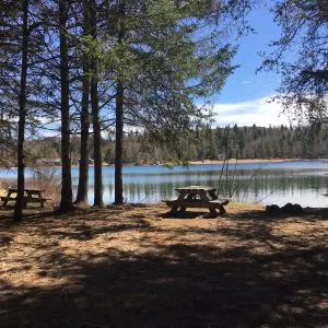 Camping du Domaine Lausanne